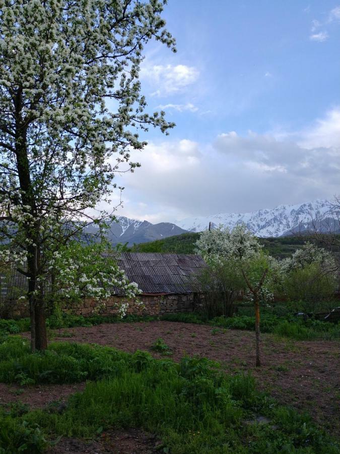 Tatev Guest House Zewnętrze zdjęcie