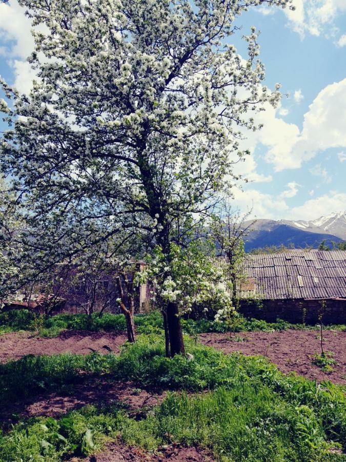Tatev Guest House Zewnętrze zdjęcie